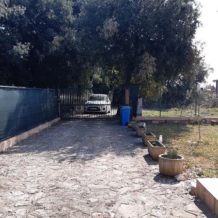 Lave II Cozy House Βίλα Ližnjan Εξωτερικό φωτογραφία
