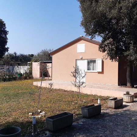Lave II Cozy House Βίλα Ližnjan Εξωτερικό φωτογραφία